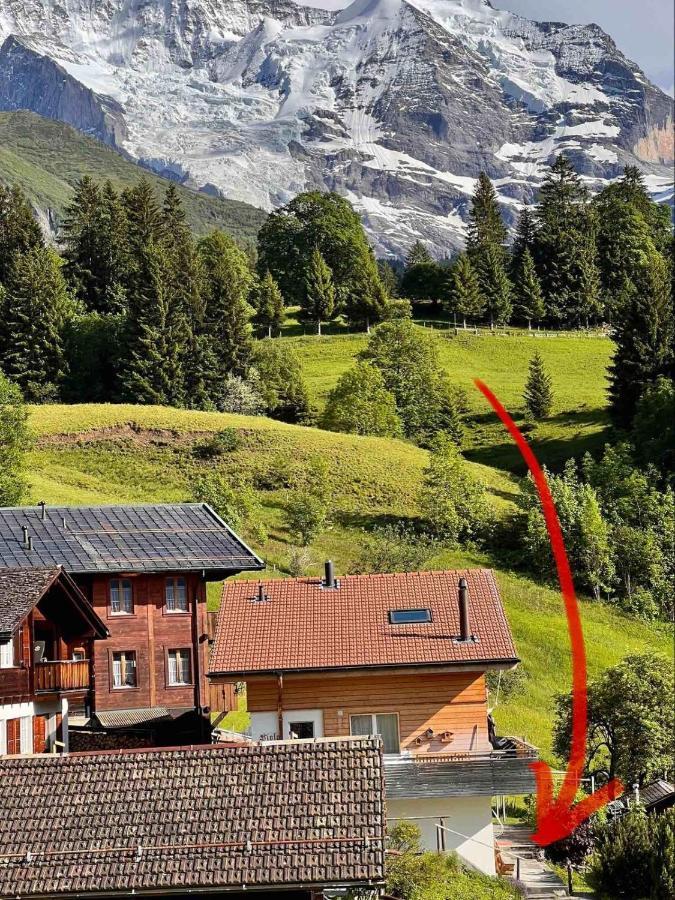 Apartamento Chalet Viola Wengen Exterior foto