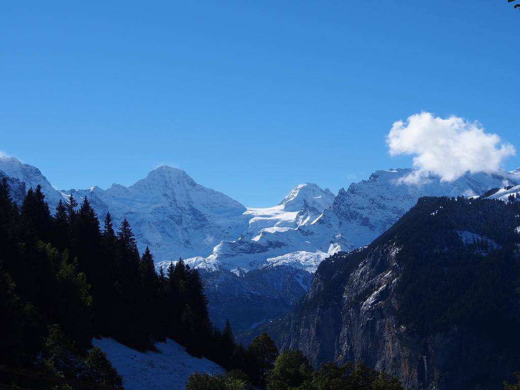 Apartamento Chalet Viola Wengen Exterior foto